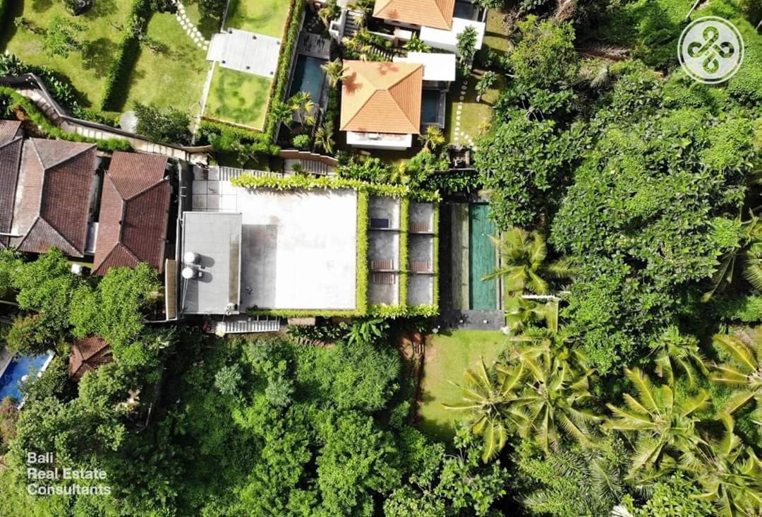 Six Cubes Ubud Hotel Kültér fotó