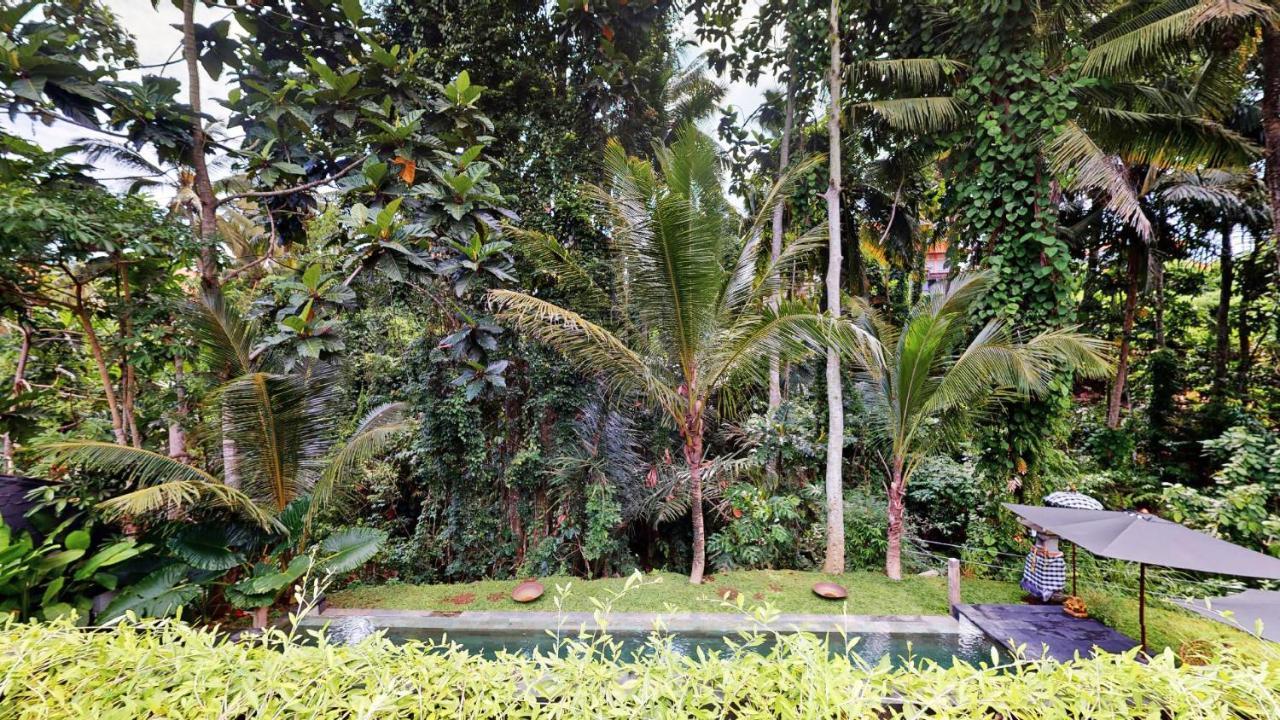 Six Cubes Ubud Hotel Kültér fotó